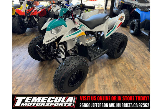 2025 outlaw® 110 efi