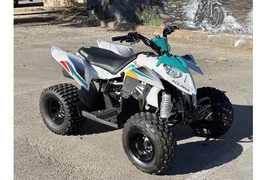 2025 outlaw® 110 efi