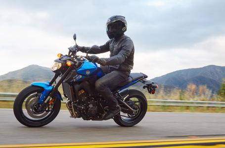 2016 Yamaha FZ09GL - Photo 2
