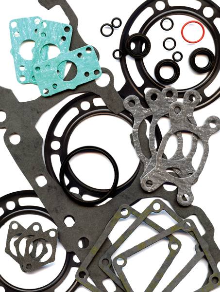 Winderosa 811343 Gasket Kit with Oil Seals