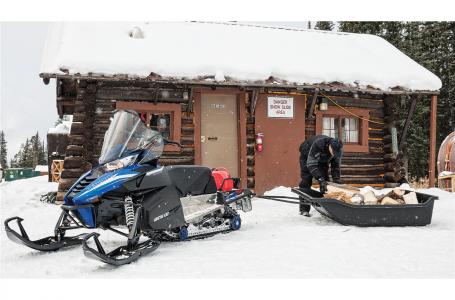 2017 Arctic Cat BEARCAT 3000 LT