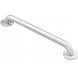 HOME CARE® BY MOEN® GRAB BAR