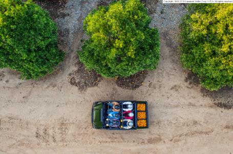 2018 Kawasaki Mule��� PRO-FXT��� EPS - Photo 12