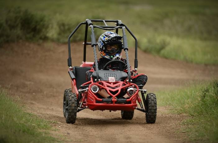 hammerhead torpedo go kart