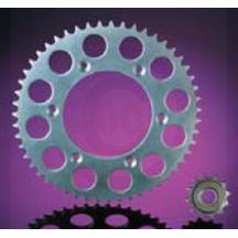 1987-1992 Honda Fourtrax 250 TRX250X 2x4 Rear 38T Sprocket