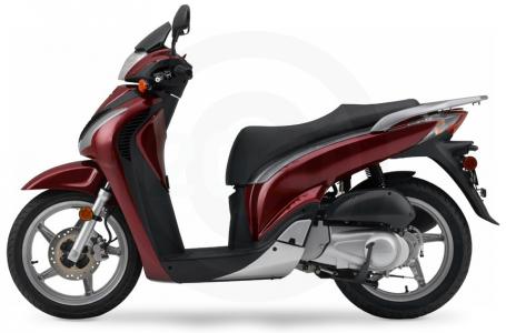 2010 Honda SH150i - Photo 6
