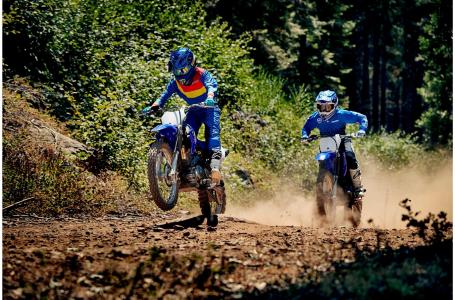 2019 Yamaha TTR125LEK - Photo 3