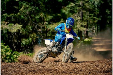 2019 Yamaha TTR125LEK - Photo 14
