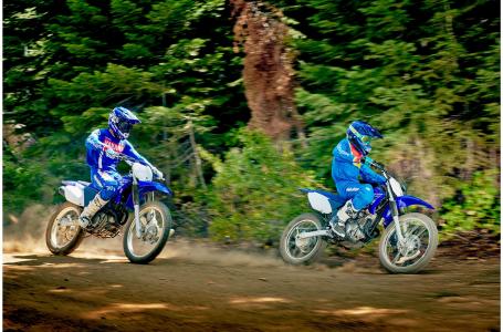 2019 Yamaha TTR125LEK - Photo 5