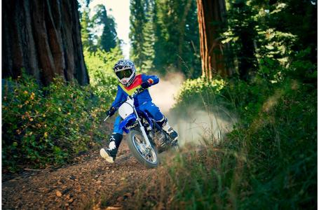 2019 Yamaha TTR110EK - Photo 5