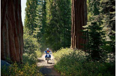 2019 Yamaha TTR125LEK - Photo 4
