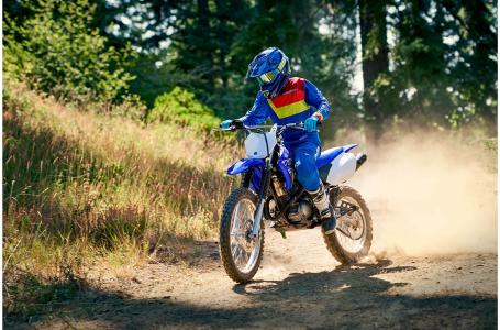 2019 Yamaha TTR125LEK - Photo 7