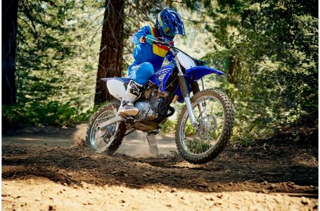 2019 Yamaha TTR125LEK - Photo 11