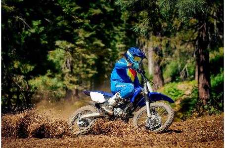 2019 Yamaha TTR125LEK - Photo 13