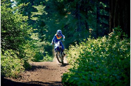 2019 Yamaha TTR125LEK - Photo 6
