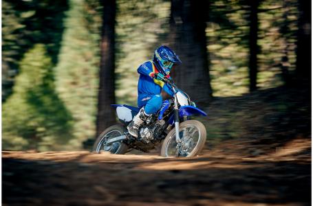 2019 Yamaha TTR125LEK - Photo 12