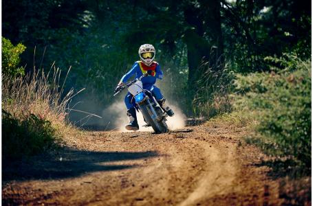 2019 Yamaha TTR110EK - Photo 8