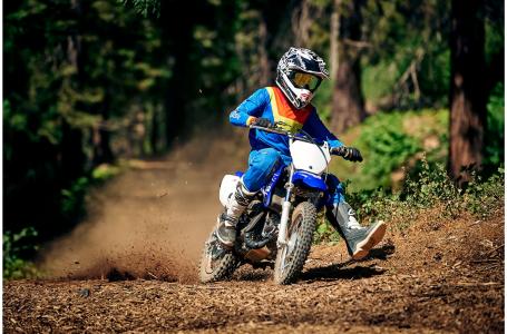 2019 Yamaha TTR110EK - Photo 18