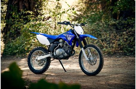 2019 Yamaha TTR125LEK - Photo 15