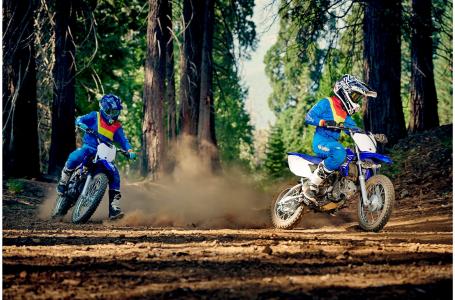 2019 Yamaha TTR110EK - Photo 13