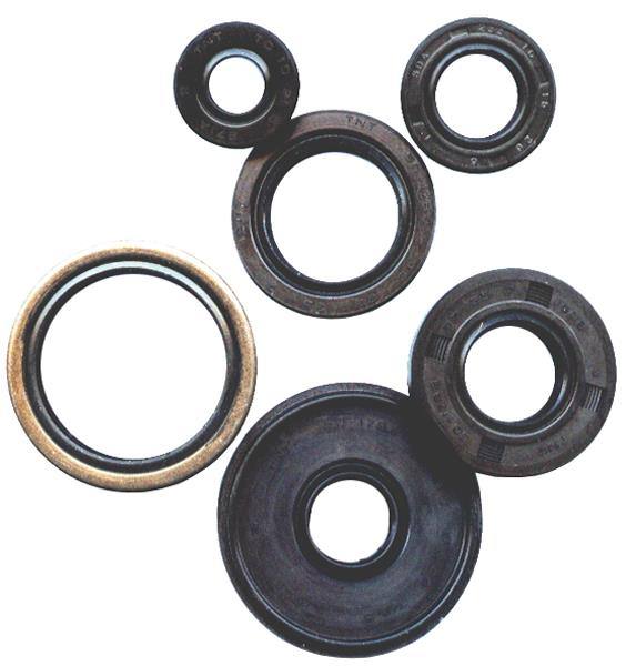 Vertex New Oil Seal Kit 822376 for Polaris ACE 150 17-18 Vertex New Oil Seal Kit 822376 for Polaris ACE 150 17-18