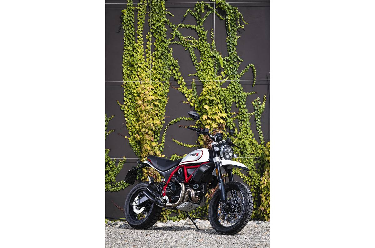 19 Ducati Scrambler Desert Sled For Sale In Fort Myers Fl Gulf Coast Motorcycles Fort Myers Fl 239 481 8100