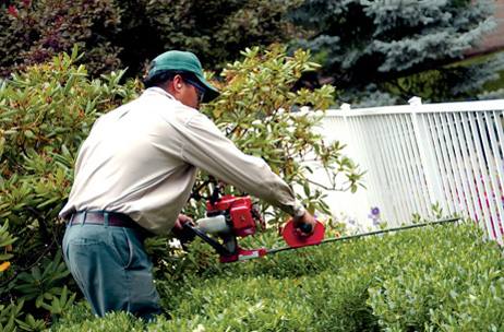 little wonder hedge trimmer prices