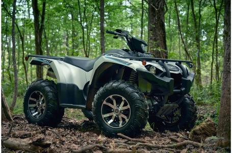 2020 Yamaha KODIAK 450 EPS SE - Photo 10