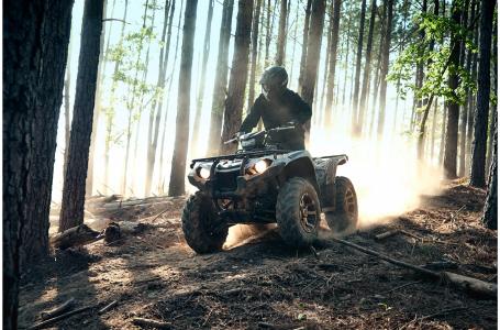 2020 Yamaha KODIAK 450 EPS SE - Photo 5