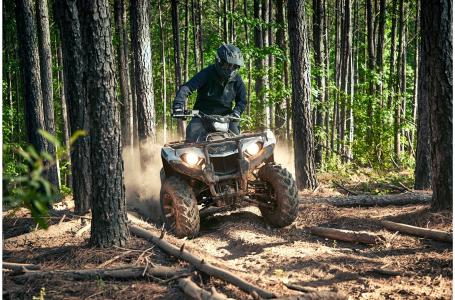 2020 Yamaha KODIAK 450 EPS SE - Photo 4
