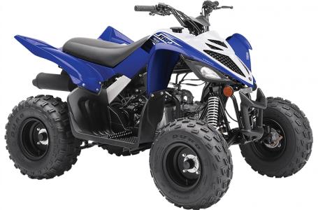 2020 Yamaha RAPTOR 90