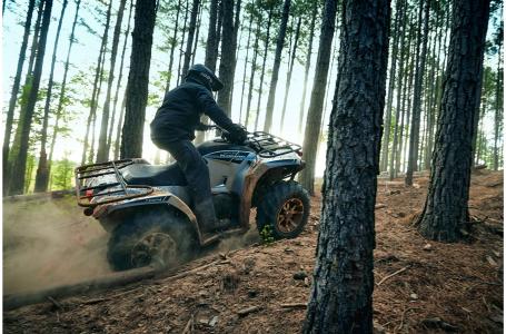 2020 Yamaha KODIAK 450 EPS SE - Photo 6