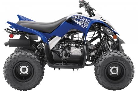 2020 Yamaha RAPTOR 90 - Photo 2