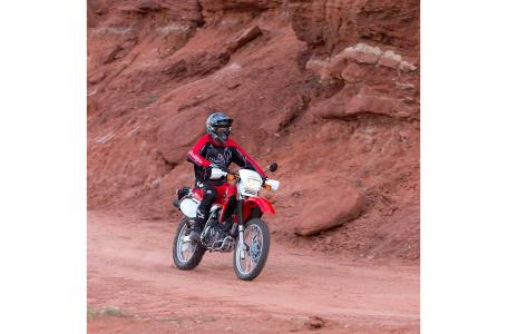 2021 Honda XR650L - Photo 3