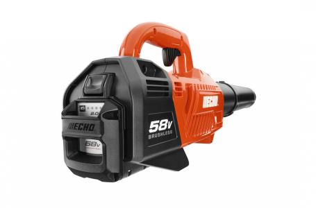 2020 ECHO CPLB-58V2AH - Photo 6