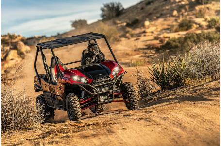2021 Kawasaki TERYX® S LE - Photo 8