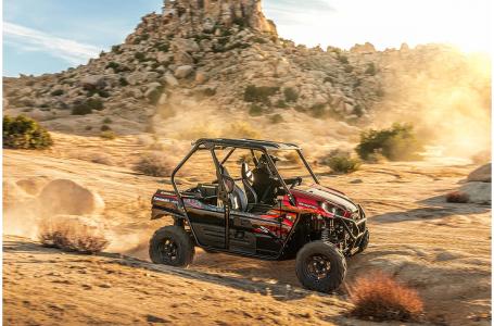 2021 Kawasaki TERYX® S LE - Photo 9