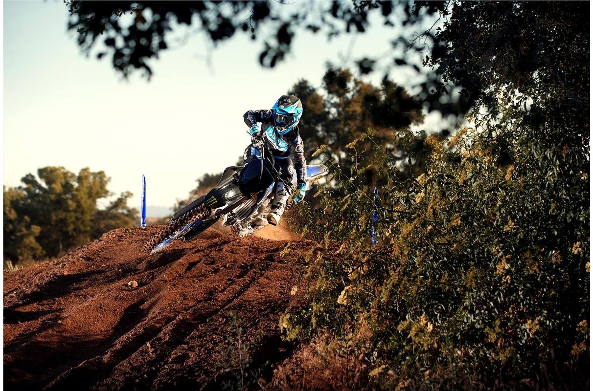 2021 Yamaha Yz250f Monster Energy Yamaha Racing Edition For Sale In Erie Pa Off Road Express