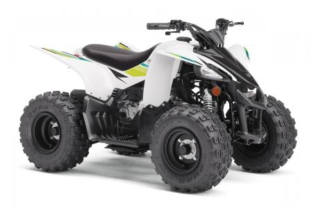 Yamaha YFZ50 Image