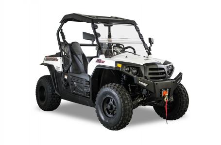 2021 Hisun STRIKE 250 - Photo 4