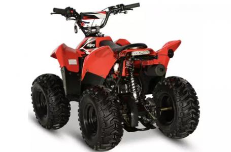 2021 Kayo Fox 70 - Photo 6