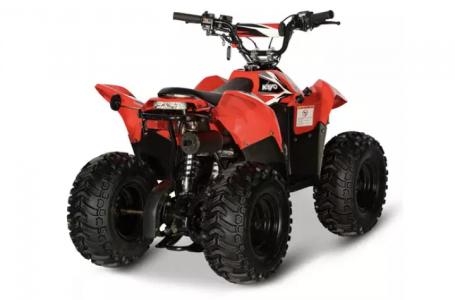 2021 Kayo Fox 70 - Photo 8