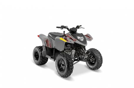 2022 Polaris PHOENIX 200 - Photo 2