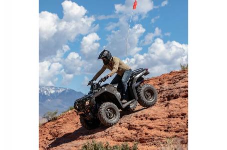 2022 Honda RANCHER - Photo 5