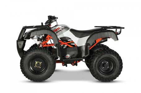 2022 Kayo BULL 150 - Photo 6
