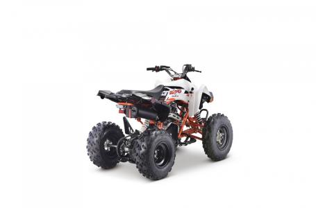 2022 Kayo Jackal 200 - Photo 11