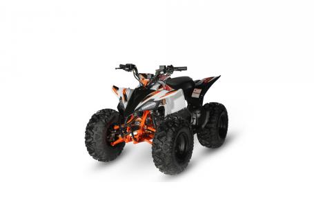 2022 Kayo PREDATOR 125 - Photo 5