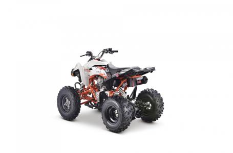 2022 Kayo Jackal 200 - Photo 13