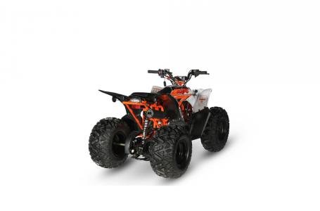 2022 Kayo PREDATOR 125 - Photo 3