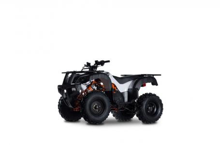 2022 Kayo BULL 150 - Photo 5